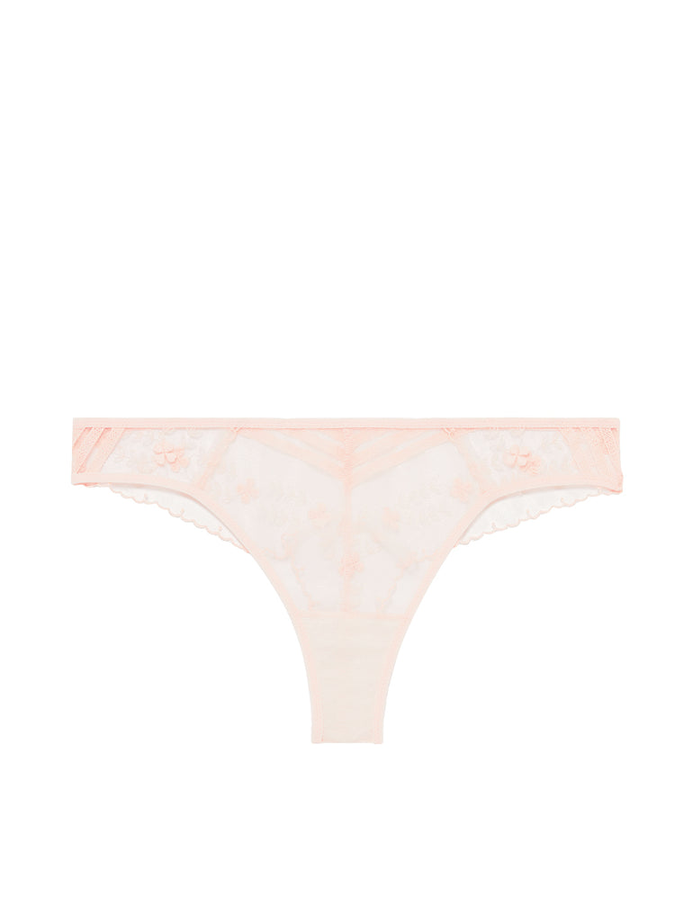 Tanga - Petal Powder