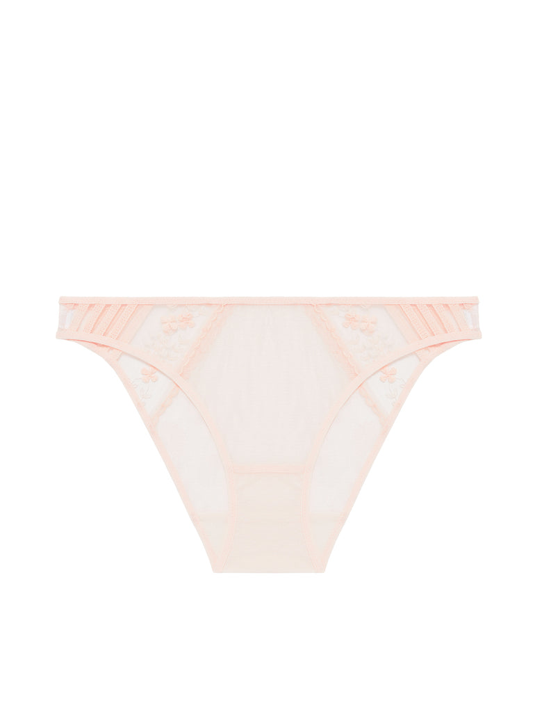 Brief - Petal Powder