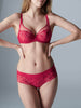 Wish Boyshort - Ruby