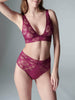 Victoire Retro Brief - Syrah