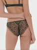 Brief - Clover Green