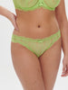 Progressive brief - Lime