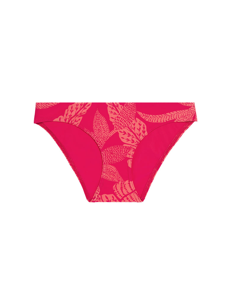 Bikini brief - Bright Rose Print