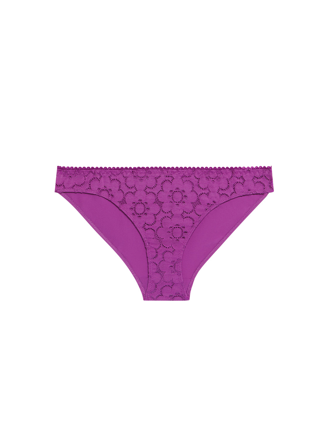 Brief - Divine Purple