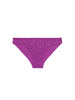 Brief - Divine Purple