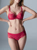 Wish Full Coverage Plunge - Ruby