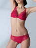 Wish Triangle Contour - Ruby