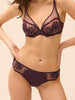 Brief - Fig