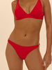 Mini brief - Scarlet