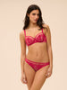 Brief - Cranberry