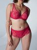 Wish Full Coverage Plunge - Ruby