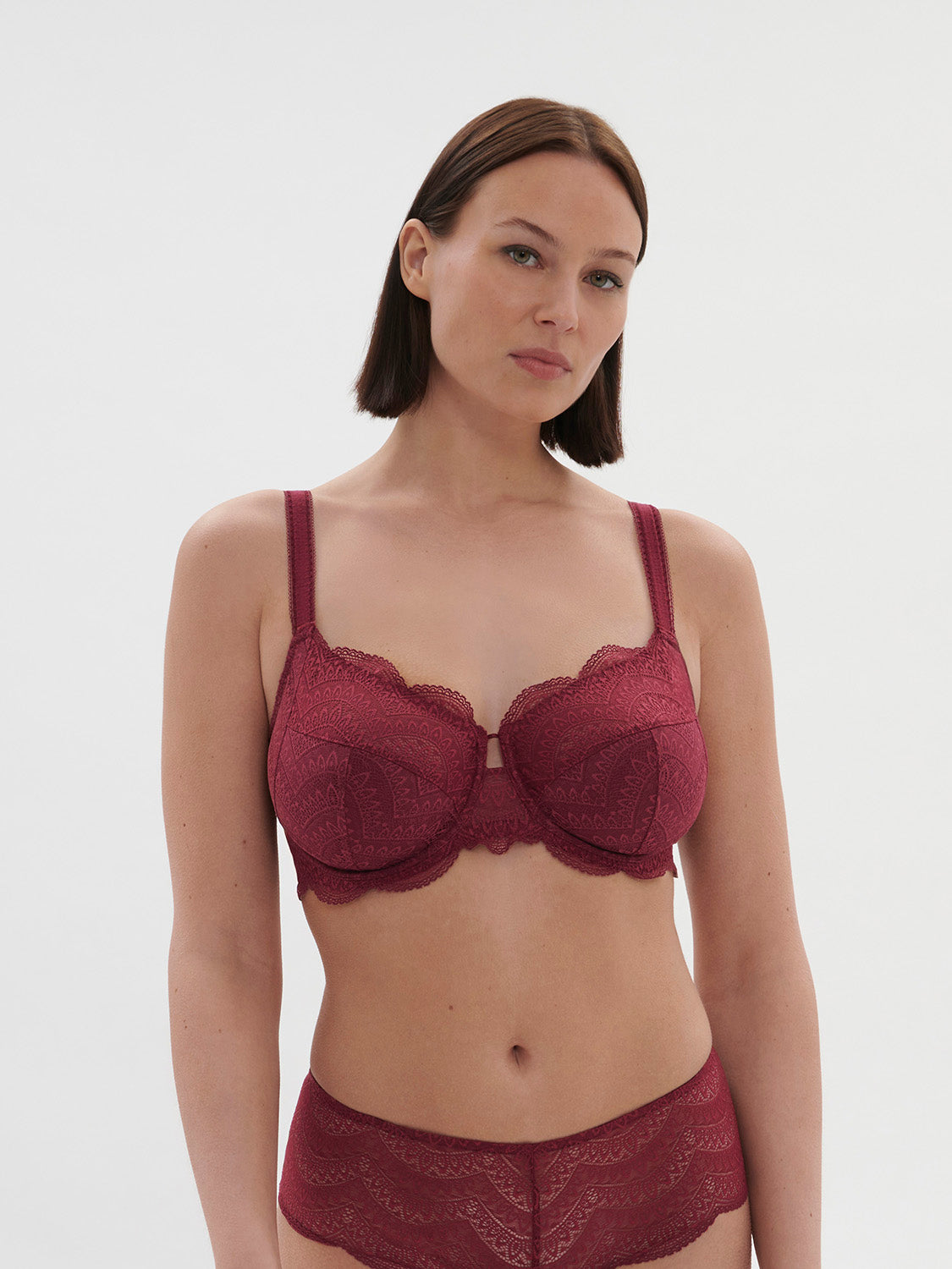 Plus size bras stores near me best sale