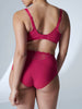 Reve Retro Brief - Cranberry