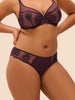 Brief - Fig