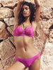 Brief - Bougainvillea